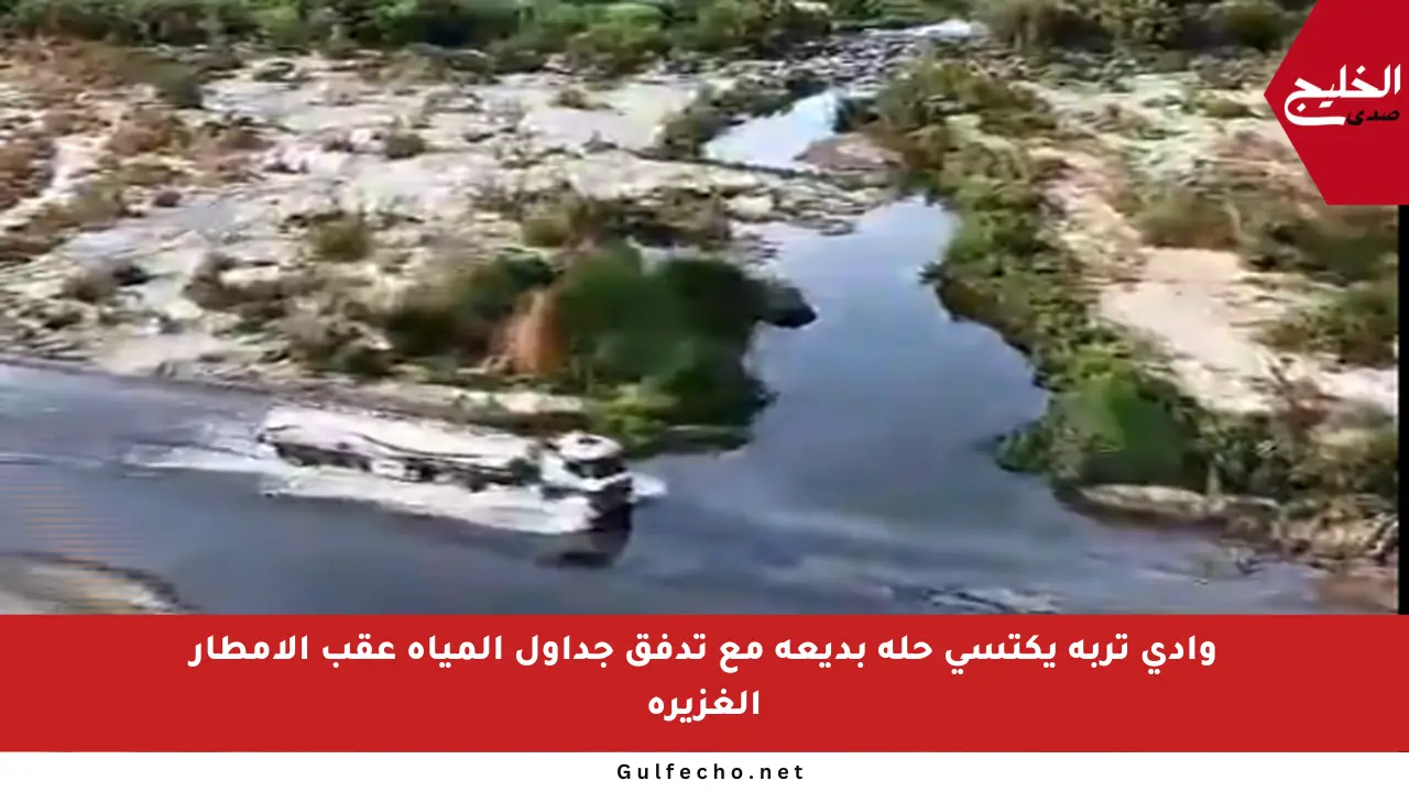 وادي تربة يكتسي حلة بديعة مع تدفق جداول المياه عقب الأمطار الغزيرة
